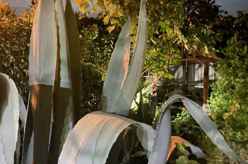 Изображение Изображение гостиницы "Гостевой дом «Дача»" #8 #8