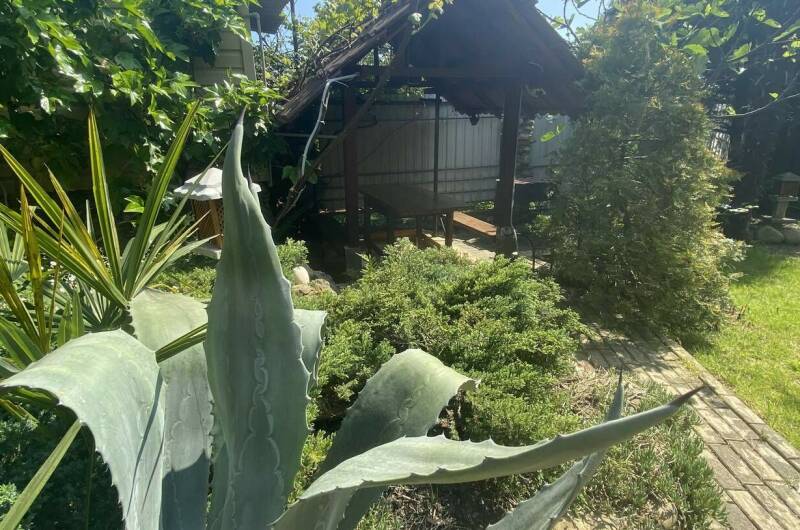 Изображение Изображение отеля / гостиницы "Гостевой дом «Дача»" #11 #9