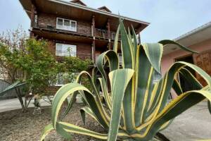 Изображение гостиницы "Гостевой дом «EcoRest»"