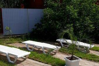 Изображение Изображение гостиницы "Гостевой дом «Пальма»" #1 #1