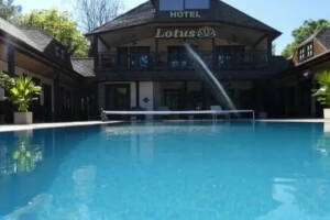 Изображение гостиницы "Отель «Lotus»"
