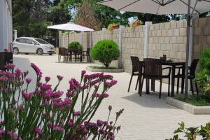 Изображение гостиницы "Гостевой дом «Пекан»"