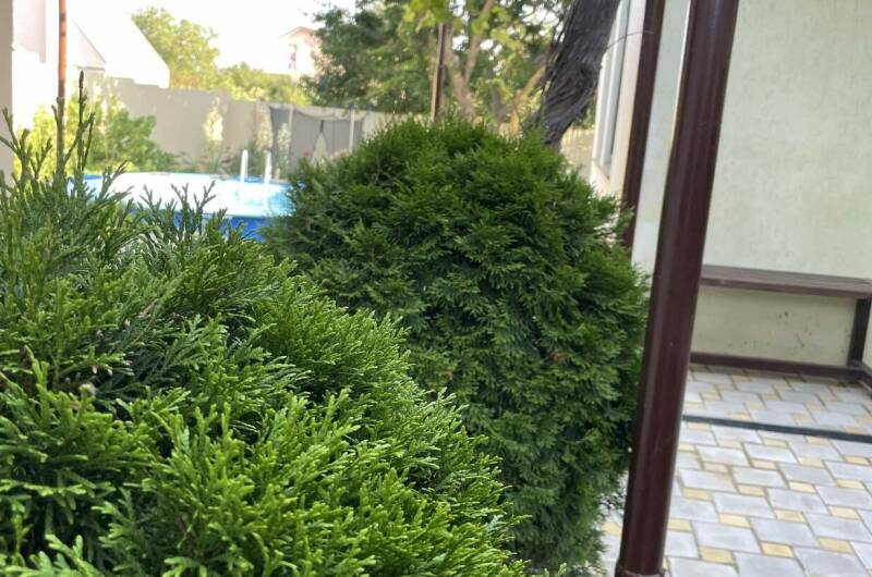 Изображение Изображение гостиницы &quot;Гостевой дом «НикЛена»&quot; #2 #2