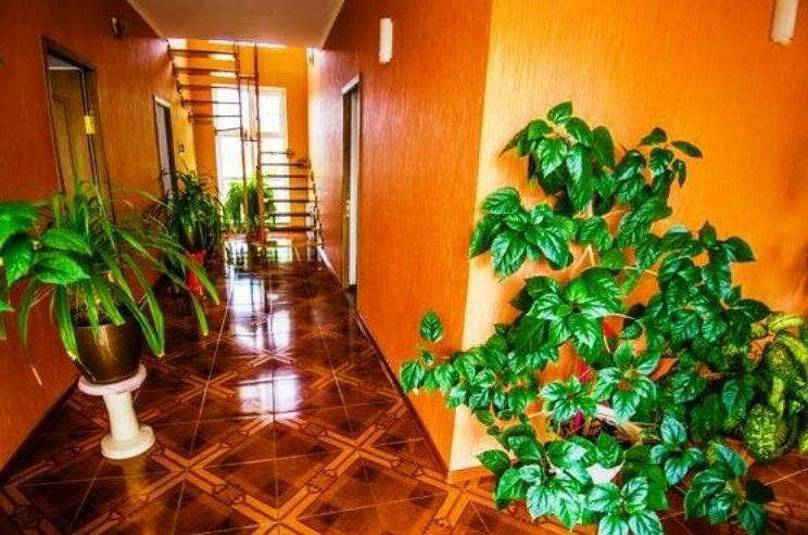 Изображение Изображение гостиницы &quot;Гостевой дом «Афина»&quot; #5 #5