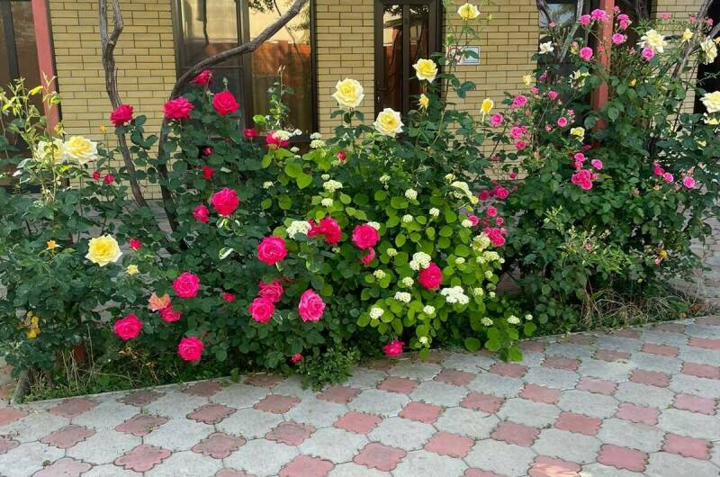 Изображение Изображение гостиницы &quot;Гостевой дом «Афина»&quot; #6 #6