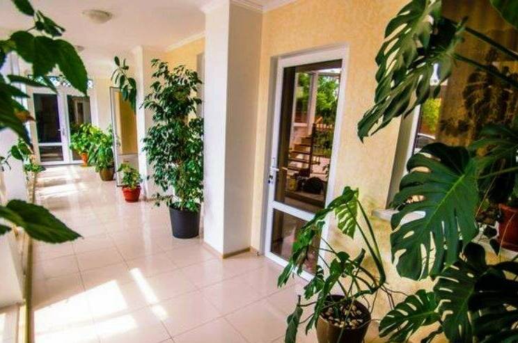 Изображение Изображение отеля / гостиницы "Гостевой дом «Афина»" #11 #9