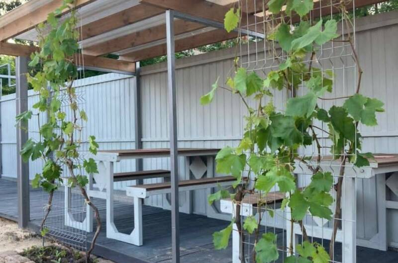 Изображение Изображение гостиницы &quot;Гостевой дом «Платон&amp;Маруся»&quot; #5 #5