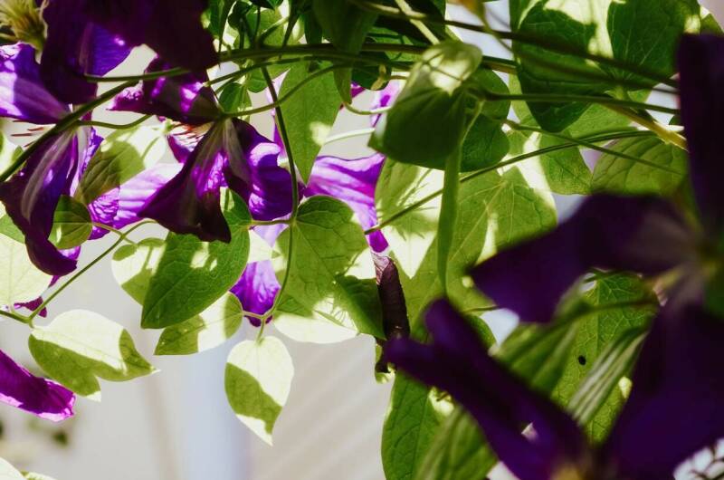 Изображение Изображение гостиницы &quot;Частный сектор «Высокий берег»&quot; #4 #4