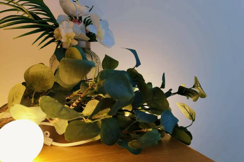 Изображение Изображение отеля / гостиницы "Гостевой дом «Парфена»" #10 #8