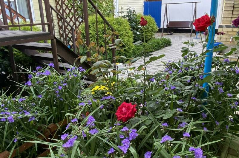 Изображение Изображение квартиры / апартамента "Двухкомнатные апартаменты в частном доме «Юлия»" #10 #8