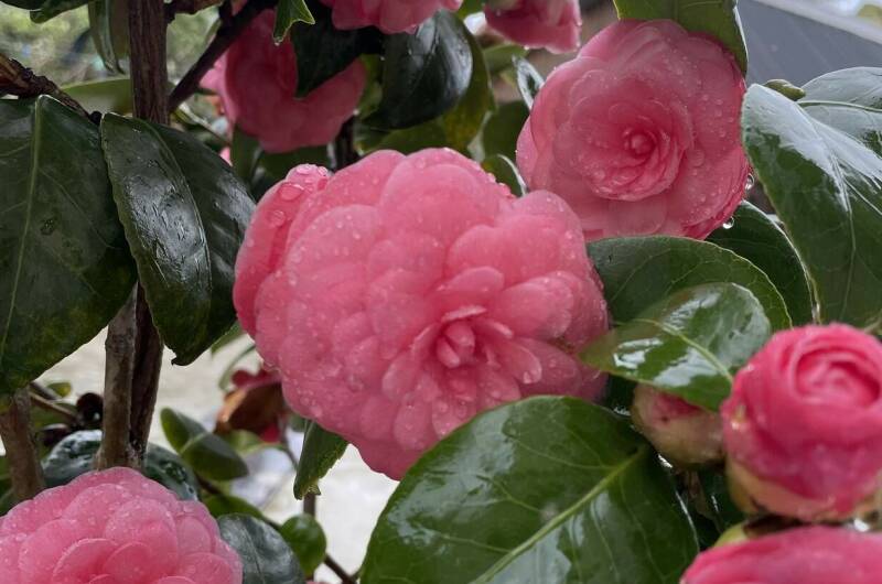 Изображение Изображение квартиры &quot;Этаж под ключ «Отдых у Риты»&quot; #5 #5