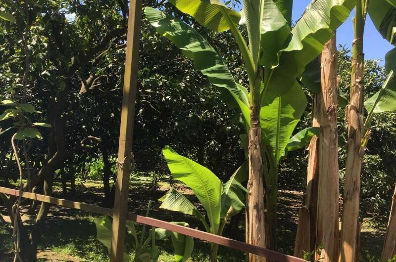 Изображение Изображение квартиры &quot;Этаж под ключ «Отдых у Риты»&quot; #6 #6