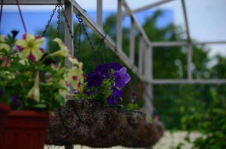 Изображение Изображение отеля / гостиницы "Гостевой дом «Blaga inn»" #10 #8