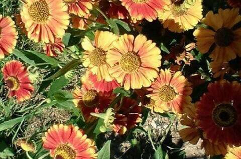 Изображение Изображение квартиры / апартамента "Дом по ключ Степная 8" #11 #9