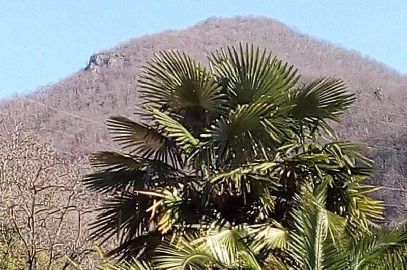 Изображение Изображение отеля / гостиницы "Отель «Inn Rif»" #2 #2