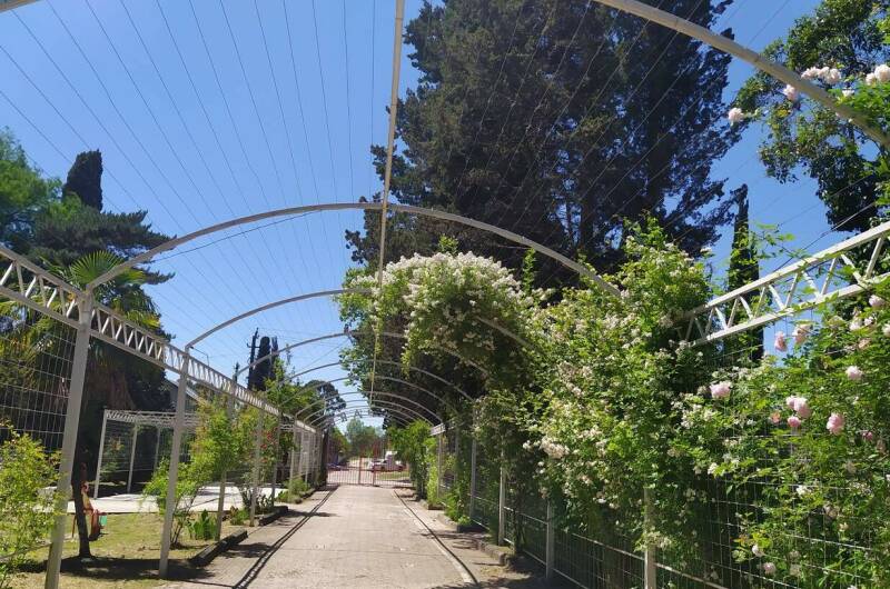 Изображение Изображение гостиницы "Villa «Дольче Вита»" #4 #4