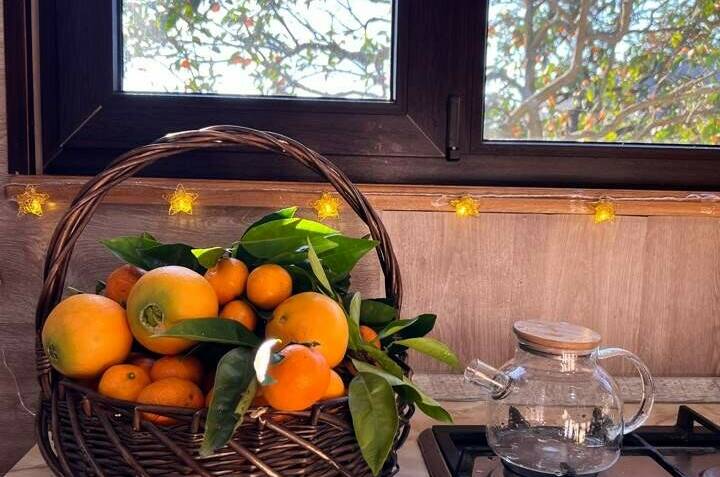 Изображение Изображение квартиры / апартамента "Дом под ключ «Мандариновый дворик»" #11 #9