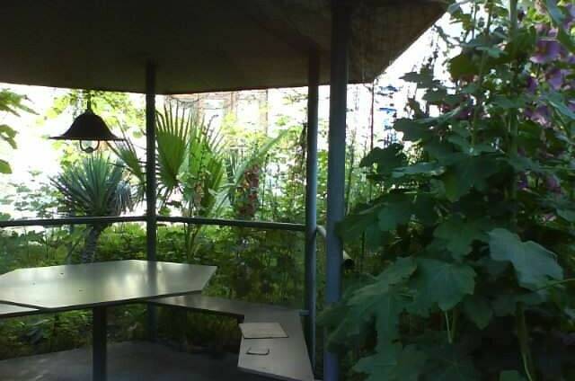 Изображение Изображение отеля / гостиницы "Гостевой дом «Зеленый остров»" #10 #8