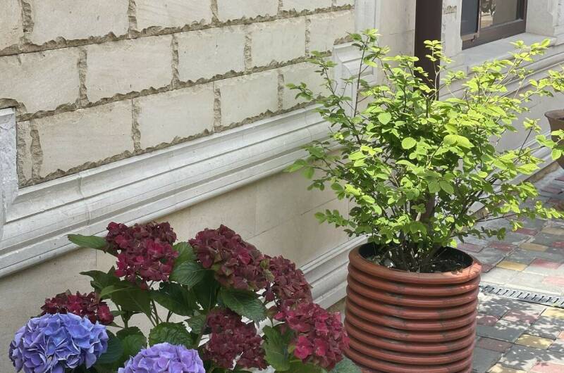 Изображение Изображение гостиницы &quot;Гостиница «Карс»&quot; #6 #6