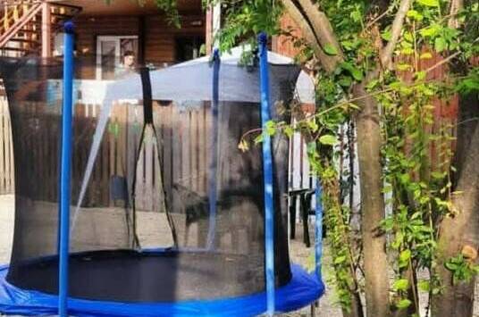 Изображение Изображение гостиницы &quot;Гостевой дом «Avenue Green»&quot; #6 #6