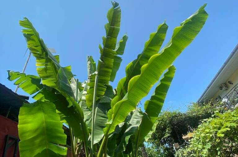 Изображение Изображение гостиницы "Гостевой дом «Венеция»" #3 #3