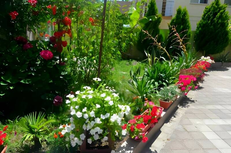 Изображение Изображение гостиницы "Гостевой дом «Уютный»" #7 #7