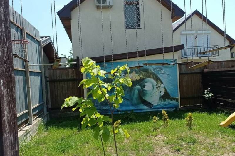 Изображение Изображение гостиницы &quot;Гостевой дом «Светлый»&quot; #2 #2