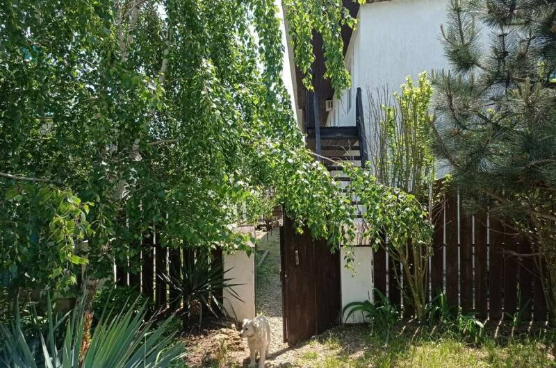 Изображение Изображение гостиницы &quot;Гостевой дом «Светлый»&quot; #4 #4