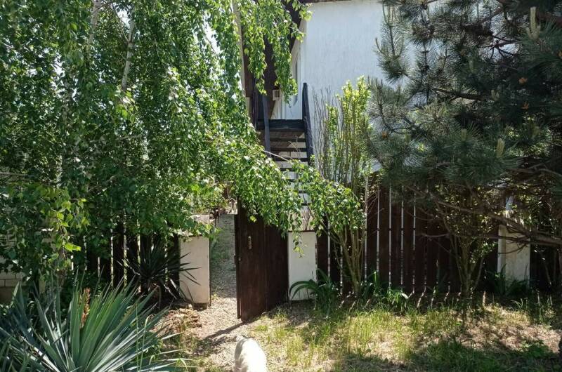 Изображение Изображение гостиницы &quot;Гостевой дом «Светлый»&quot; #5 #5