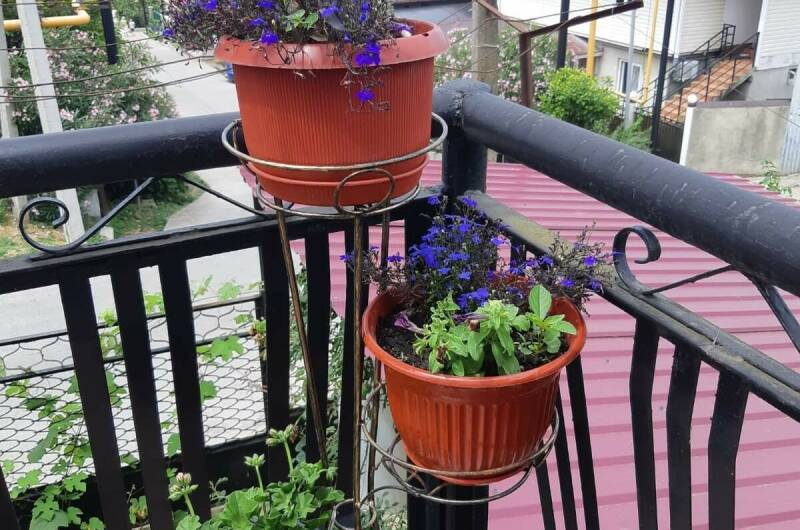 Изображение Изображение гостиницы "Гостевой дом «Золотая рыбка»" #2 #2