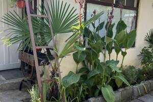 Изображение квартиры "Гостевой дом под ключ «Отдых у моря»"