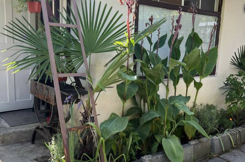 Изображение Изображение квартиры "Гостевой дом под ключ «Отдых у моря»" #1 #1