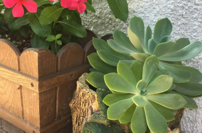 Изображение Изображение гостиницы "Гостевой дом «Маргарита»" #3 #3