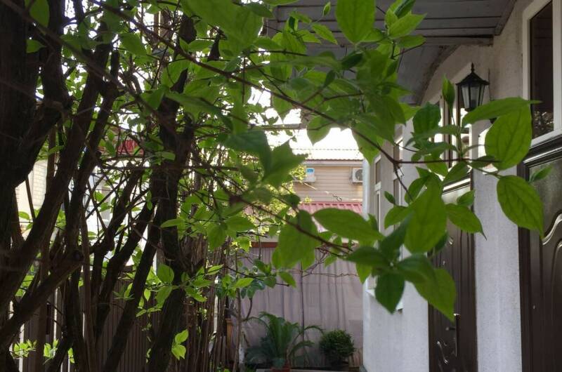 Изображение Изображение гостиницы "Гостевой дом «Маргарита»" #7 #7