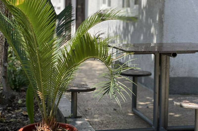 Изображение Изображение отеля / гостиницы "Гостевой дом «Маргарита»" #11 #9