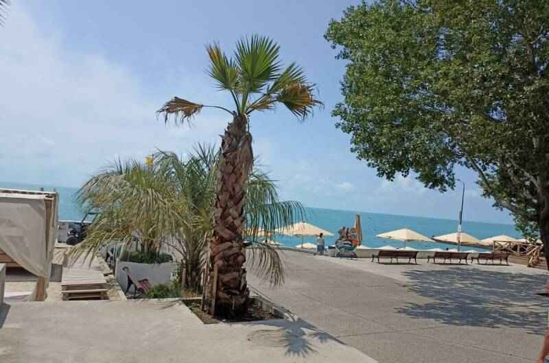 Изображение Изображение квартиры &quot;Евродвушка на первой береговой линии&quot; #6 #6