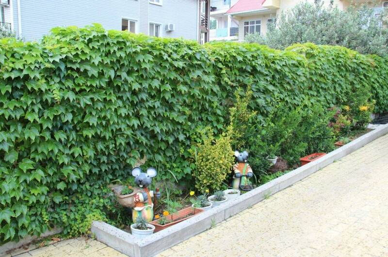 Изображение Изображение гостиницы "Мини гостиница «Чкалова Апарт»" #4 #4