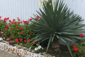 Изображение гостиницы "Гостевой дом «Анита»"