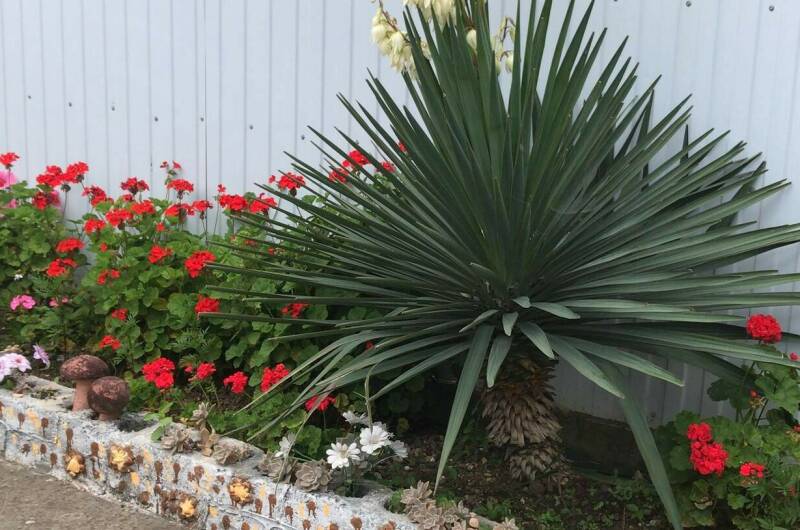 Изображение Изображение гостиницы "Гостевой дом «Анита»" #1 #1