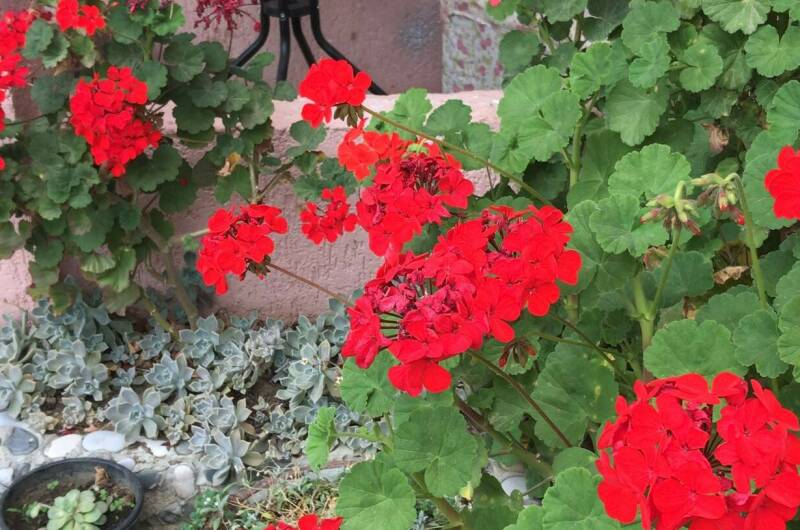 Изображение Изображение гостиницы "Гостевой дом «Анита»" #4 #4