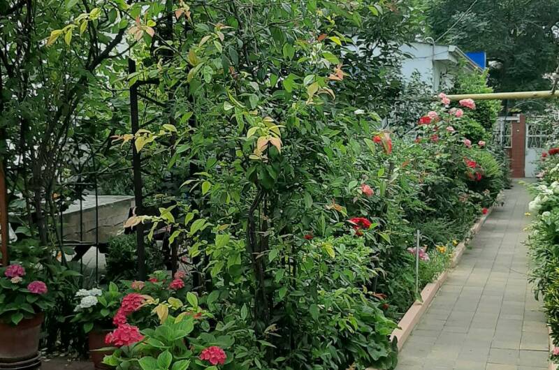 Изображение Изображение гостиницы "Частный дом «Визит»" #1 #1