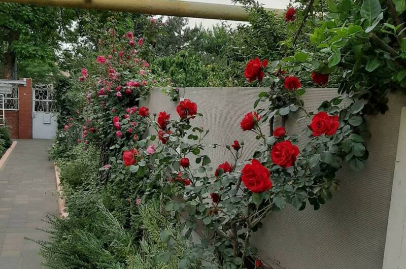 Изображение Изображение гостиницы "Частный дом «Визит»" #4 #4