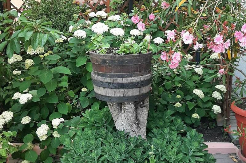 Изображение Изображение гостиницы "Частный дом «Визит»" #5 #5