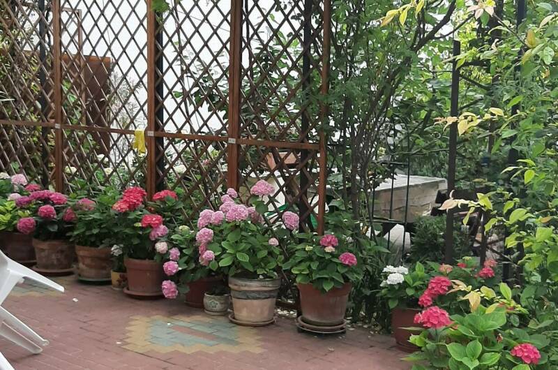 Изображение Изображение гостиницы "Частный дом «Визит»" #7 #7