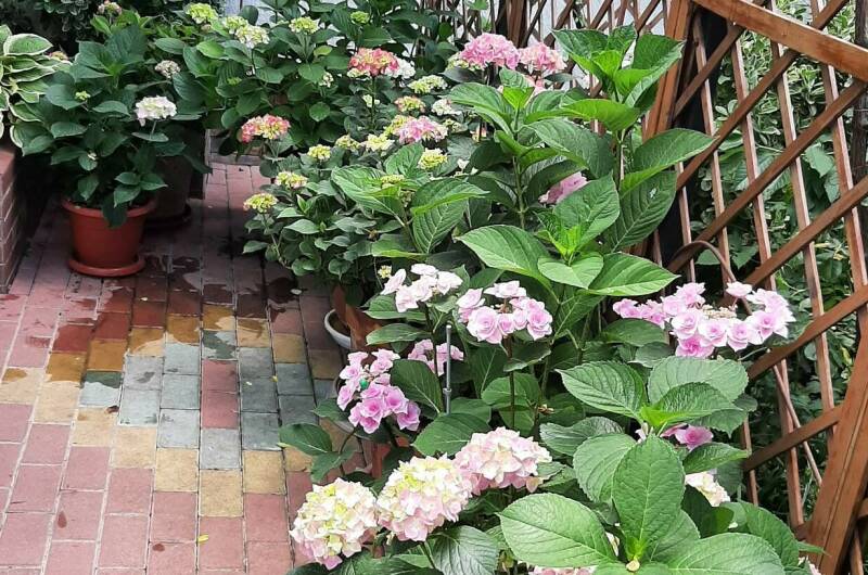 Изображение Изображение отеля / гостиницы "Частный дом «Визит»" #10 #8