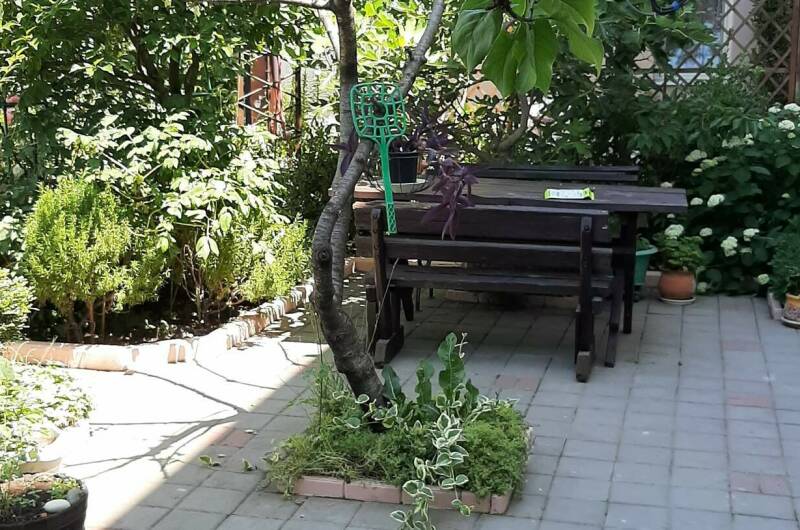 Изображение Изображение отеля / гостиницы "Частный дом «Визит»" #11 #9