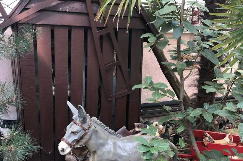 Изображение Изображение гостиницы "Отель «ВИКТОРиЯ»" #7 #7