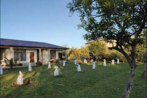 Изображение гостиницы "Гостевой дом «У Марины»"