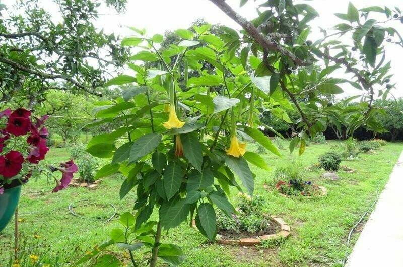 Изображение Изображение гостиницы "Гостевой дом «У Марины»" #5 #5