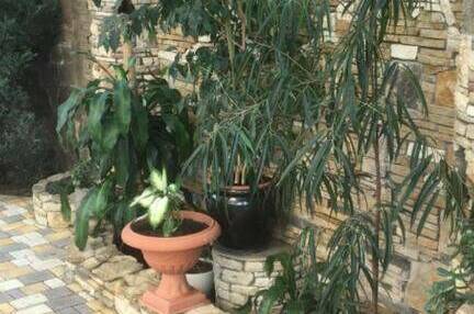 Изображение Изображение гостиницы &quot;Гостевой дом «Artik Райский Уголок»&quot; #2 #2